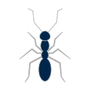 ants