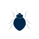 bed bugs